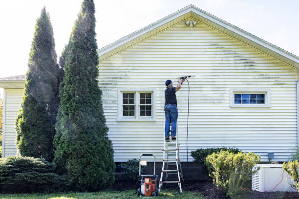Best Graffiti Removal  in Meadowlakes, TX